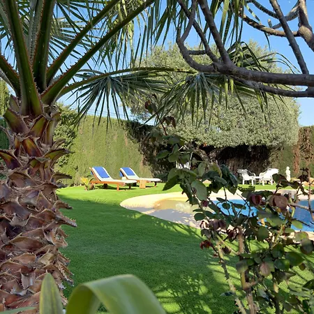 Nueva Majestic En Vila Calpe